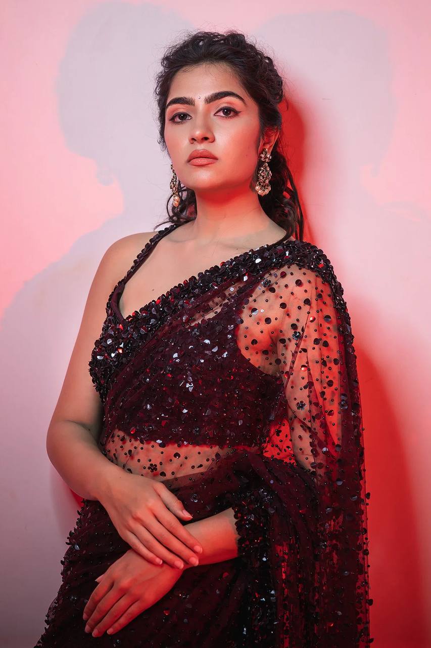Party Wear Midnight Wine Sequin Net Saree with Blouse | Luxury Party Wear Saree for Women
